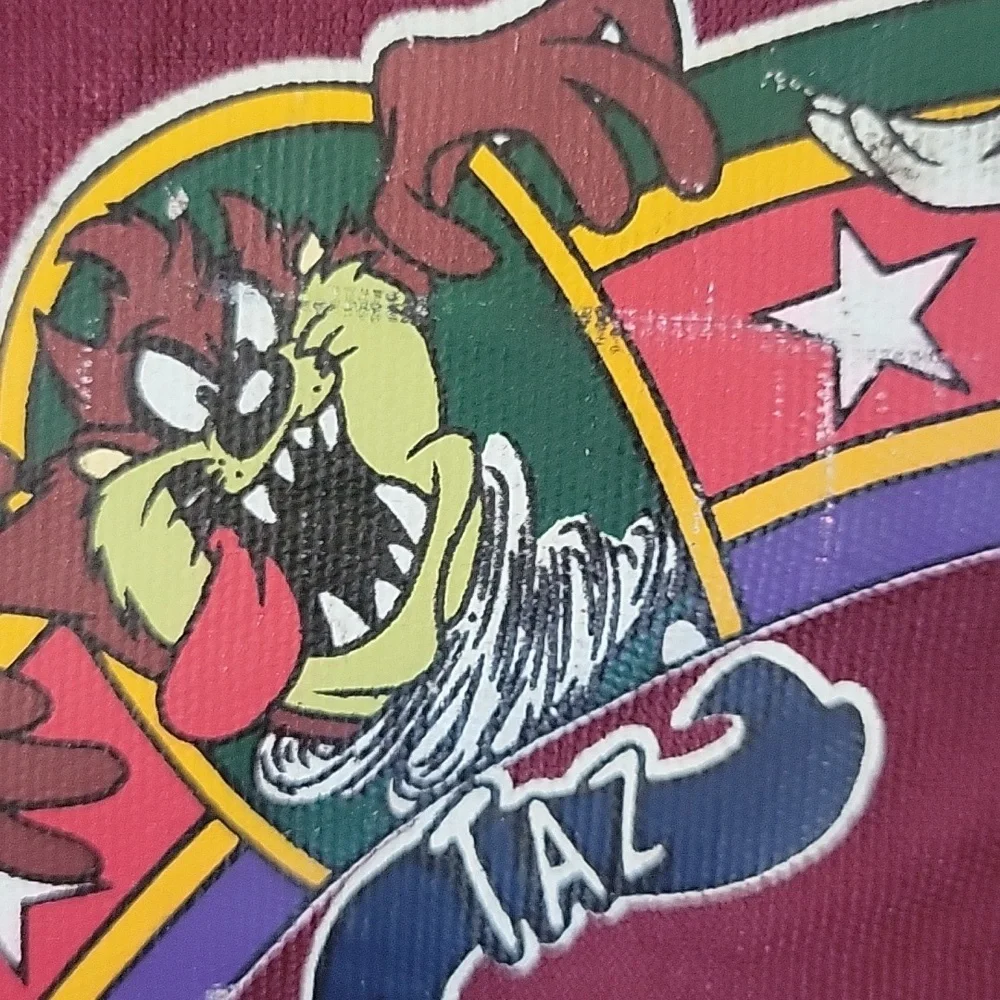 Vintage Looney Tunes Registered Trademark 1995 Backpack Bugs Bunny Taz Sylvester